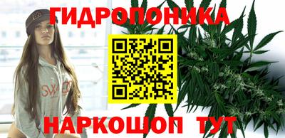 стафф Краснознаменск